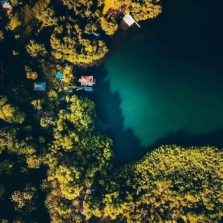 Dolphin Bay Hideaway Bed & Breakfast Бокас дел Торо Екстериор снимка