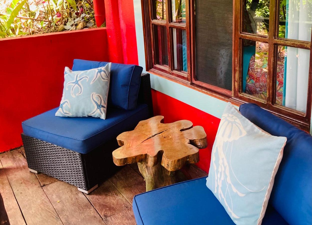 Dolphin Bay Hideaway Bed & Breakfast Бокас дел Торо Екстериор снимка