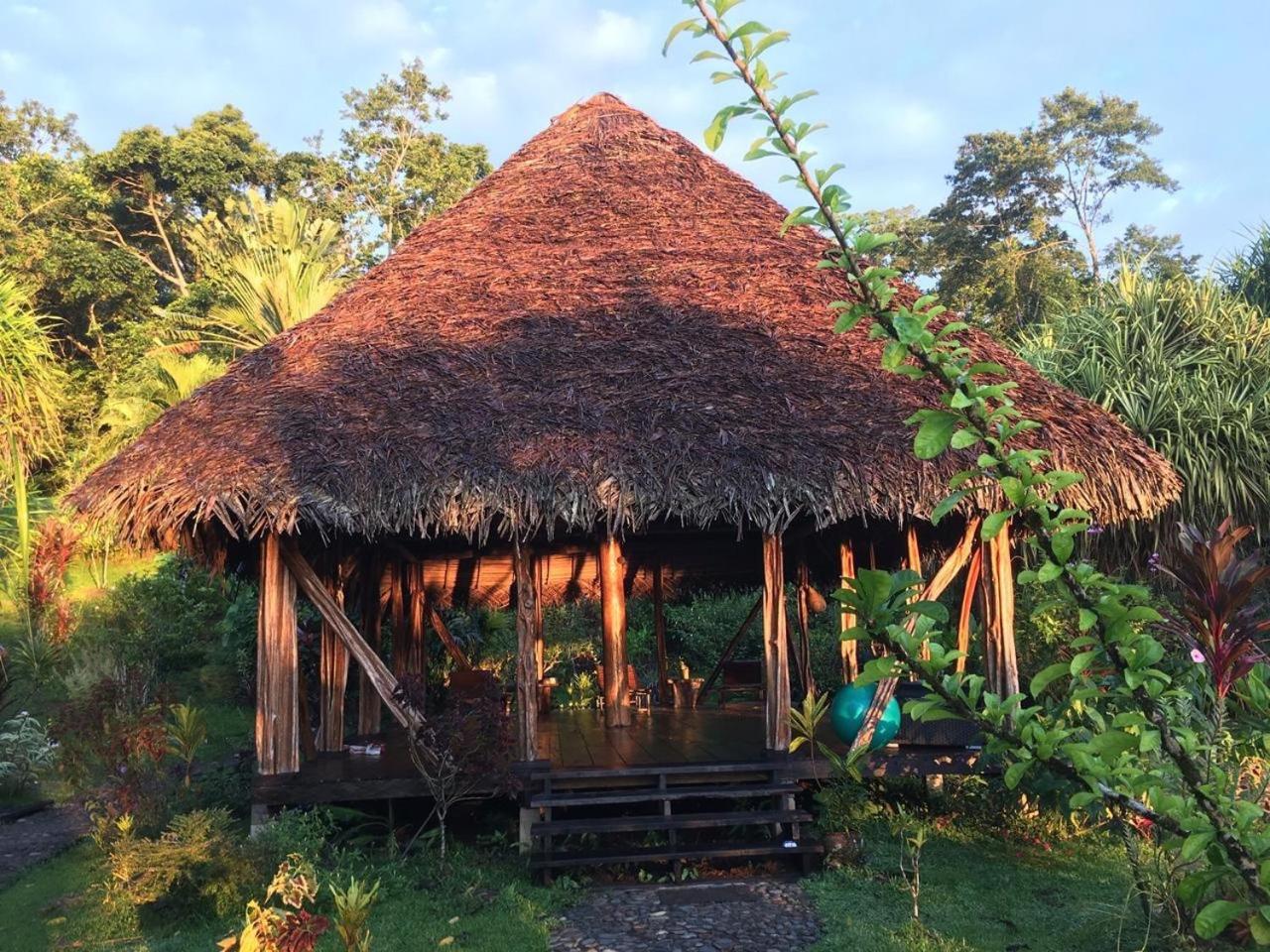 Dolphin Bay Hideaway Bed & Breakfast Бокас дел Торо Екстериор снимка