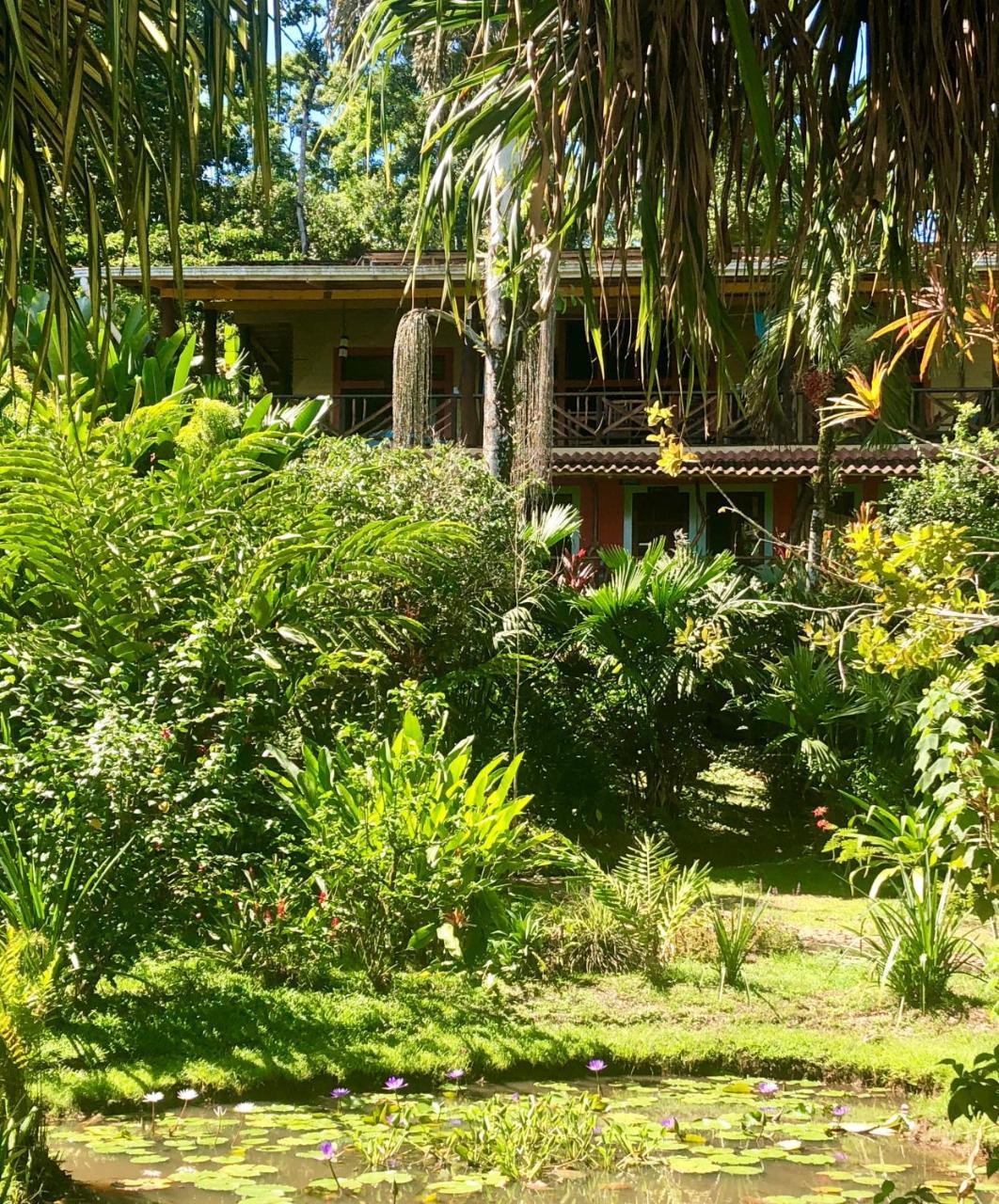 Dolphin Bay Hideaway Bed & Breakfast Бокас дел Торо Екстериор снимка