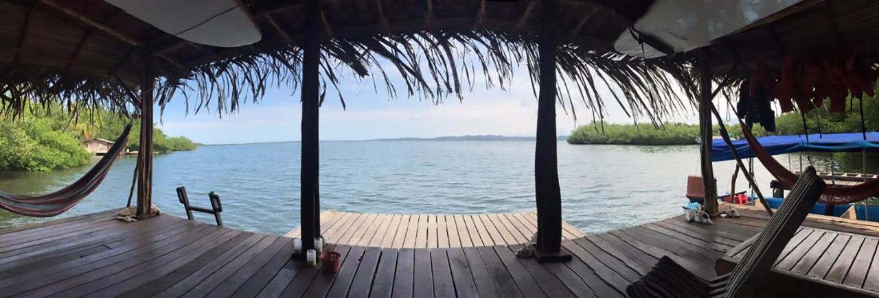 Dolphin Bay Hideaway Bed & Breakfast Бокас дел Торо Екстериор снимка