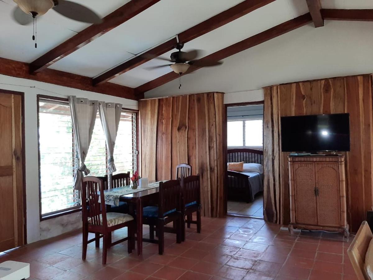 Dolphin Bay Hideaway Bed & Breakfast Бокас дел Торо Екстериор снимка